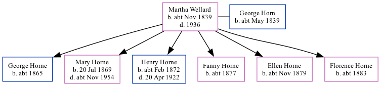 Family Tree