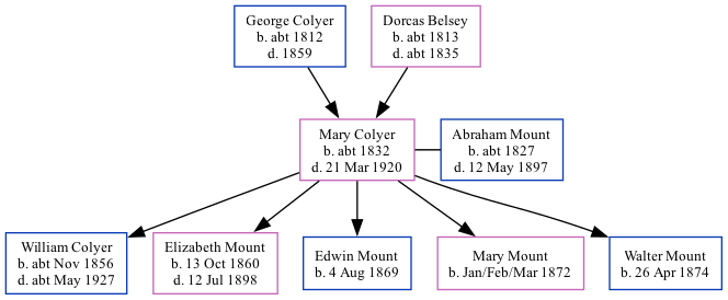 Family Tree