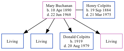 Family Tree