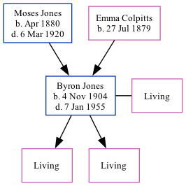 Family Tree
