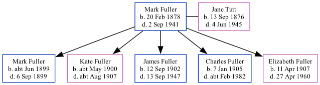 Family Tree