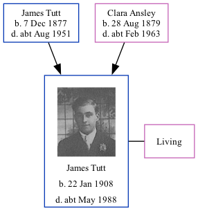 Family Tree