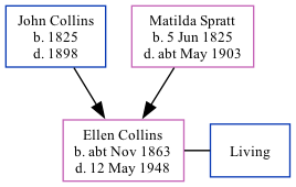 Family Tree