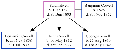 Family Tree