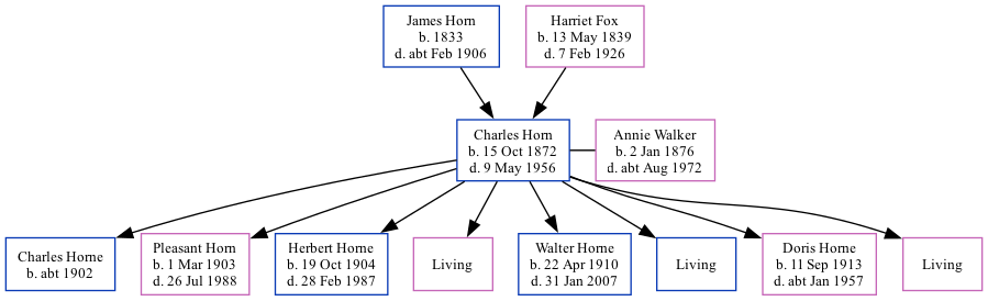 Family Tree
