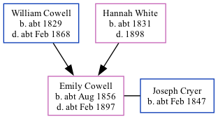 Family Tree