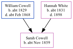Family Tree
