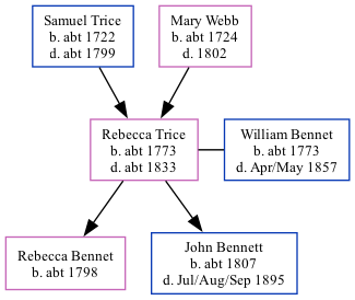 Family Tree