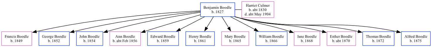 Family Tree