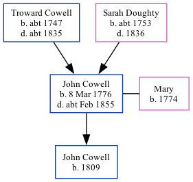 Family Tree