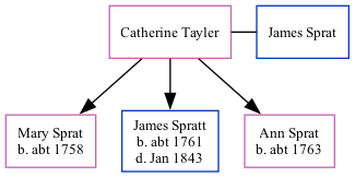 Family Tree