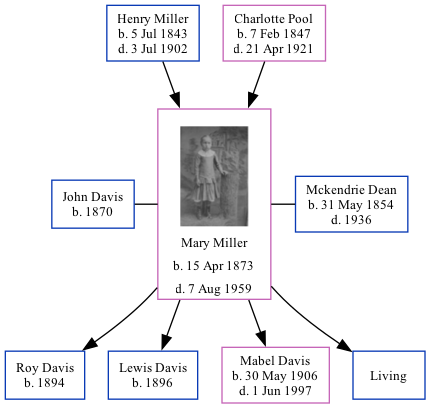 Family Tree