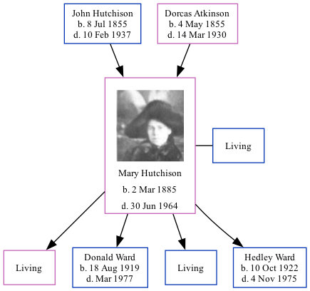 Family Tree