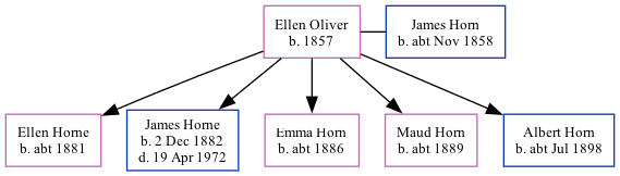 Family Tree