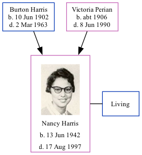 Family Tree