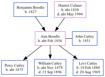 Family Tree