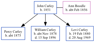 Family Tree