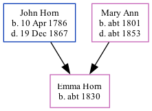 Family Tree