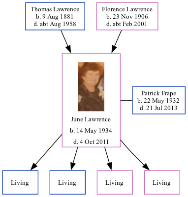 Family Tree