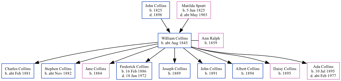 Family Tree