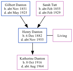 Family Tree
