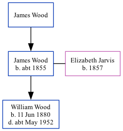 Family Tree