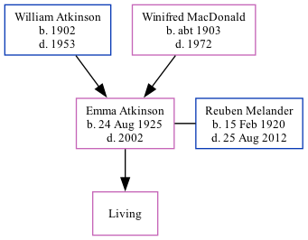 Family Tree