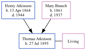 Family Tree
