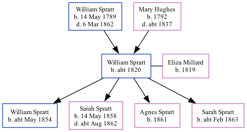Family Tree