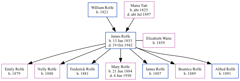 Family Tree