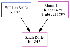 Family Tree
