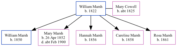 Family Tree