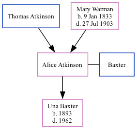 Family Tree