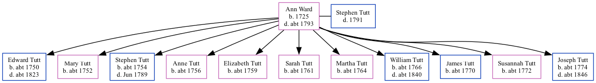 Family Tree