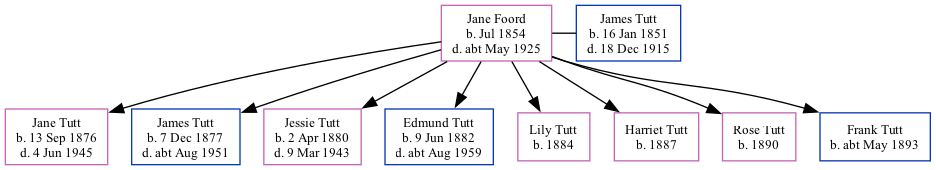 Family Tree