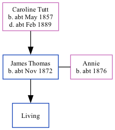 Family Tree