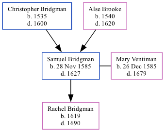Family Tree