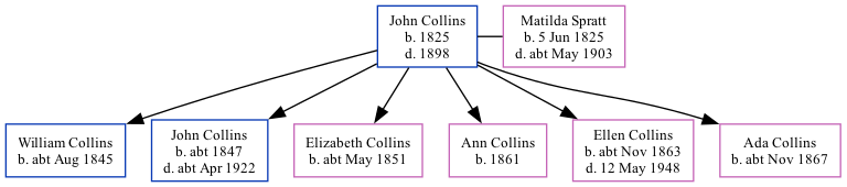 Family Tree